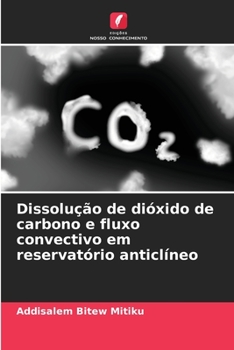 Paperback Dissolução de dióxido de carbono e fluxo convectivo em reservatório anticlíneo [Portuguese] Book