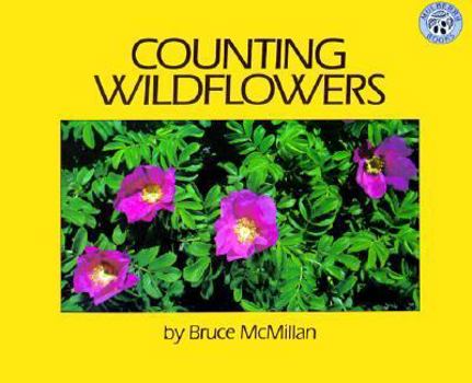 Paperback Counting Wildflowers Book
