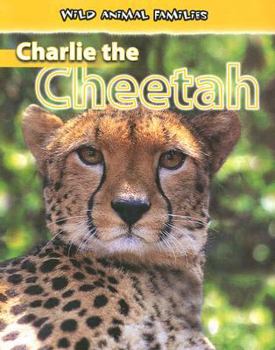 Charlie the Cheetah (Wild Animal Families)