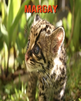 Paperback Margay: Amazing Facts about Margay Book