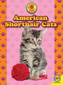 American Shorthair Cats (Cats Set IV) - Book  of the All about Cats