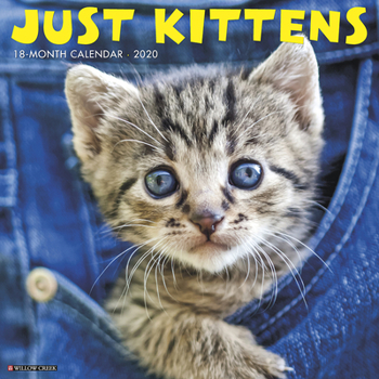 Calendar Just Kittens 2020 Wall Calendar Book