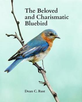 Perfect Paperback The Beloved and Charismatic Bluebird Book