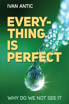 Paperback Everything is perfect: Why Do We Not See It Book