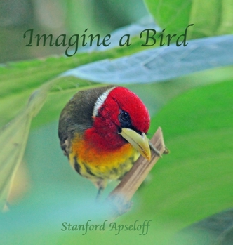 Hardcover Imagine a Bird Book