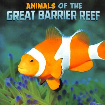 Paperback Animals of the Great Barrier Reef (Wild Biomes) Book