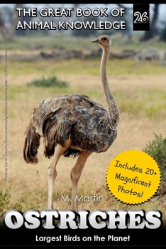 Paperback Ostriches: Largest Birds on the Planet Book