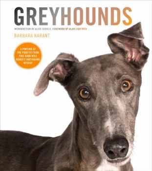 Hardcover Greyhounds Book