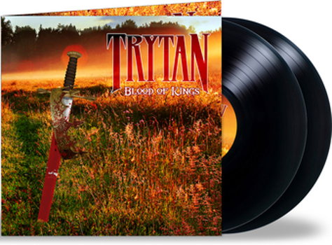 Vinyl Blood Of Kings Book