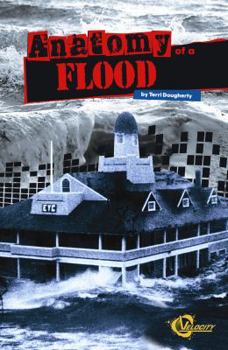 Paperback Anatomy of a Flood Book