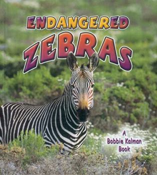 Paperback Endangered Zebras Book