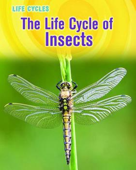 Paperback The Life Cycle of Insects Book