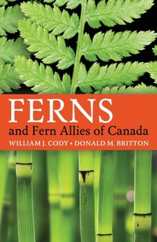 Paperback Ferns and Fern Allies of Canada Book