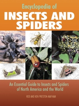 Hardcover Encyclopedia of Insects and Spiders: An Essential Guide to Insects and Spiders of North America and the World Book