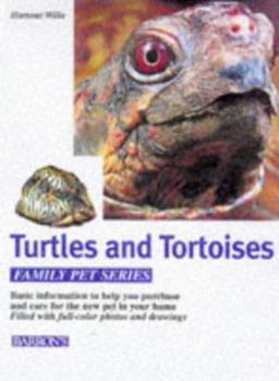 Hardcover Turtles and Tortoises: Caring for Them, Feeding Them, Understanding Them Book