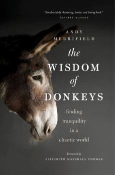 Paperback The Wisdom of Donkeys: Finding Tranquility in a Chaotic World Book