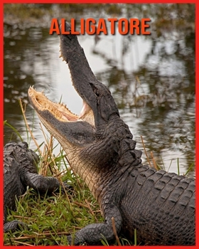 Alligatore: Immagini incredibili e fatti sui Alligatore