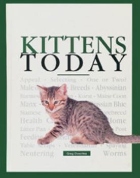 Library Binding Kittens Today (Basic Pet Lib) Book