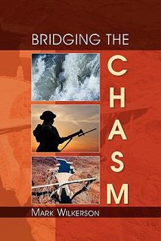 Paperback Bridging the Chasm Book