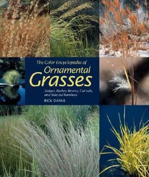 Hardcover The Color Encyclopedia of Ornamental Grasses: Sedges, Rushes, Restios, Cat-Tails, and Selected Bamboos Book