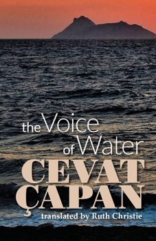 Paperback The Voice of Water Book