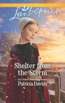 Shelter from the Storm - Book #2 of the North Country Amish