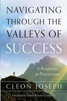 Paperback Navigating Through The Valleys Of Success: A Perspective In Perseverance Book