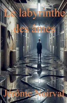 Paperback Le labyrinthe des âmes [French] Book