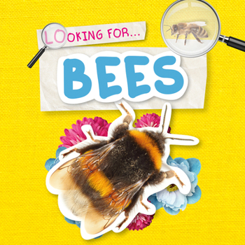 Hardcover Bees Book