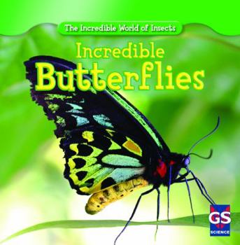 Paperback Incredible Butterflies Book