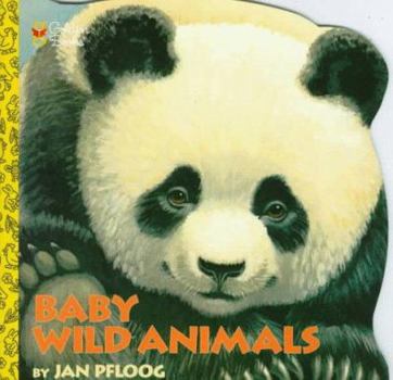 Paperback Baby Wild Animals Book