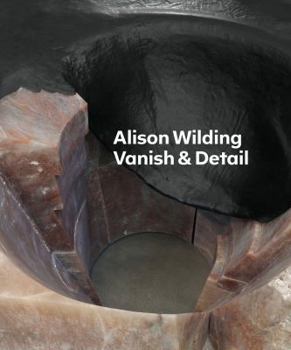 Paperback Alison Wilding: Vanish & Detail Book