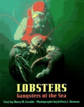 Hardcover Lobsters: Gangsters of the Sea Book