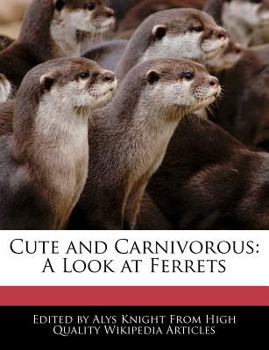 Cute and Carnivorous : A Look at Ferrets