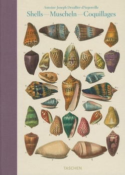 Hardcover Dezallier d'Argenville: Conchology/Shells Book