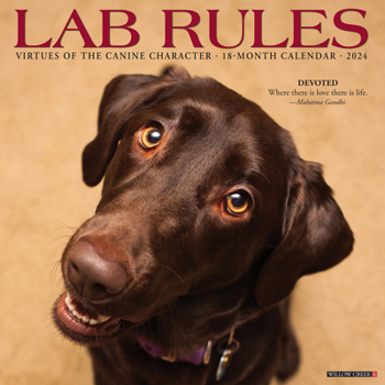 Calendar Lab Rules 2024 12 X 12 Wall Calendar Book