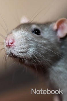 Notebook: Cute Rat Notebook; Rat Lovers Notebook; I Love Rats; 6x9inch Notebook with 108-wide lined pages