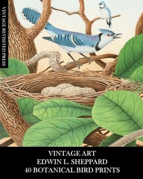 Paperback Vintage Art: Edwin L Sheppard:40 Botanical Bird Prints: Ornithology Ephemera for Framing, Home Decor and Collages Book