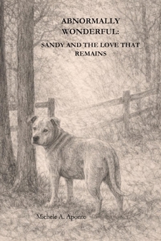 Paperback Abnormally Wonderful: Sandy and the Love That Remains Book