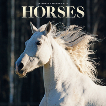 Calendar 2025 Horses Mini calendar: Plastic Free Packaging Book