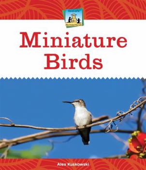 Miniature Birds - Book  of the Mini Animal Marvels
