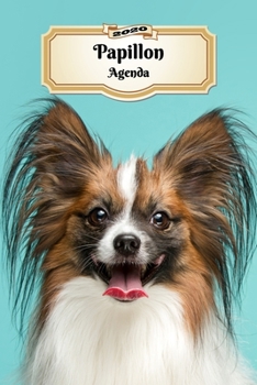 Paperback 2020 Papillon Agenda: 107 Pagine - Dimensioni DIN A5 - Pianificatore Settimanale - 12 Mesi - Due Pagine Per Settimana - Calendario - Diario [Italian] Book