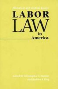 Labor Law in America: Historical and Critical Essays (The Johns Hopkins Symposia in Comparative History)