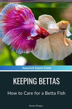 Keeping Bettas: How to Care for a Betta Fish