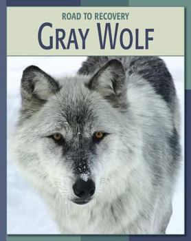 Gray Wolf - Book  of the Road to Recovery