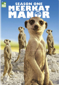 DVD Meerkat Manor: Season One Book