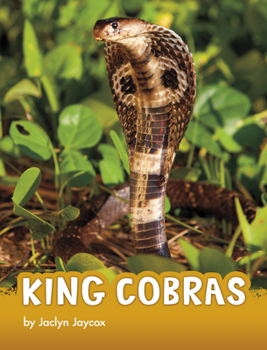 Hardcover King Cobras Book