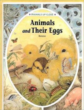 Animals and Their Eggs - Book  of the Animals Up Close