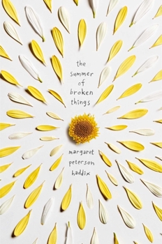 Hardcover The Summer of Broken Things Book