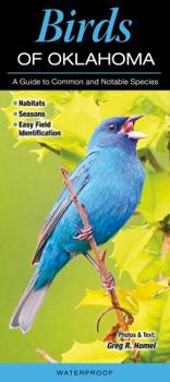 Pamphlet Birds of Oklahoma: A Guide to Common and Notable Species Book